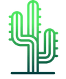 Kaktus